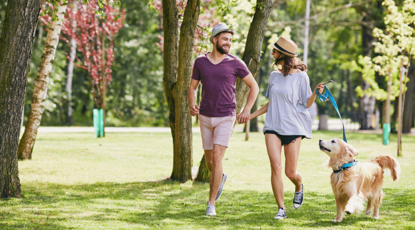 couple holding hands walking in park with dog